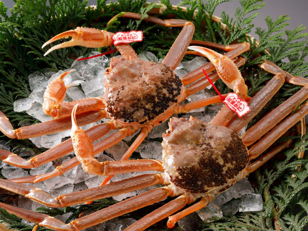 カニビル侘寂伝文 わさびやブログ