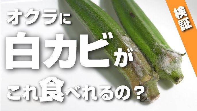 オクラに見られる黒いものはカビ？食べられる？見分け方を解説！心地よい生活のためのアイデア帳