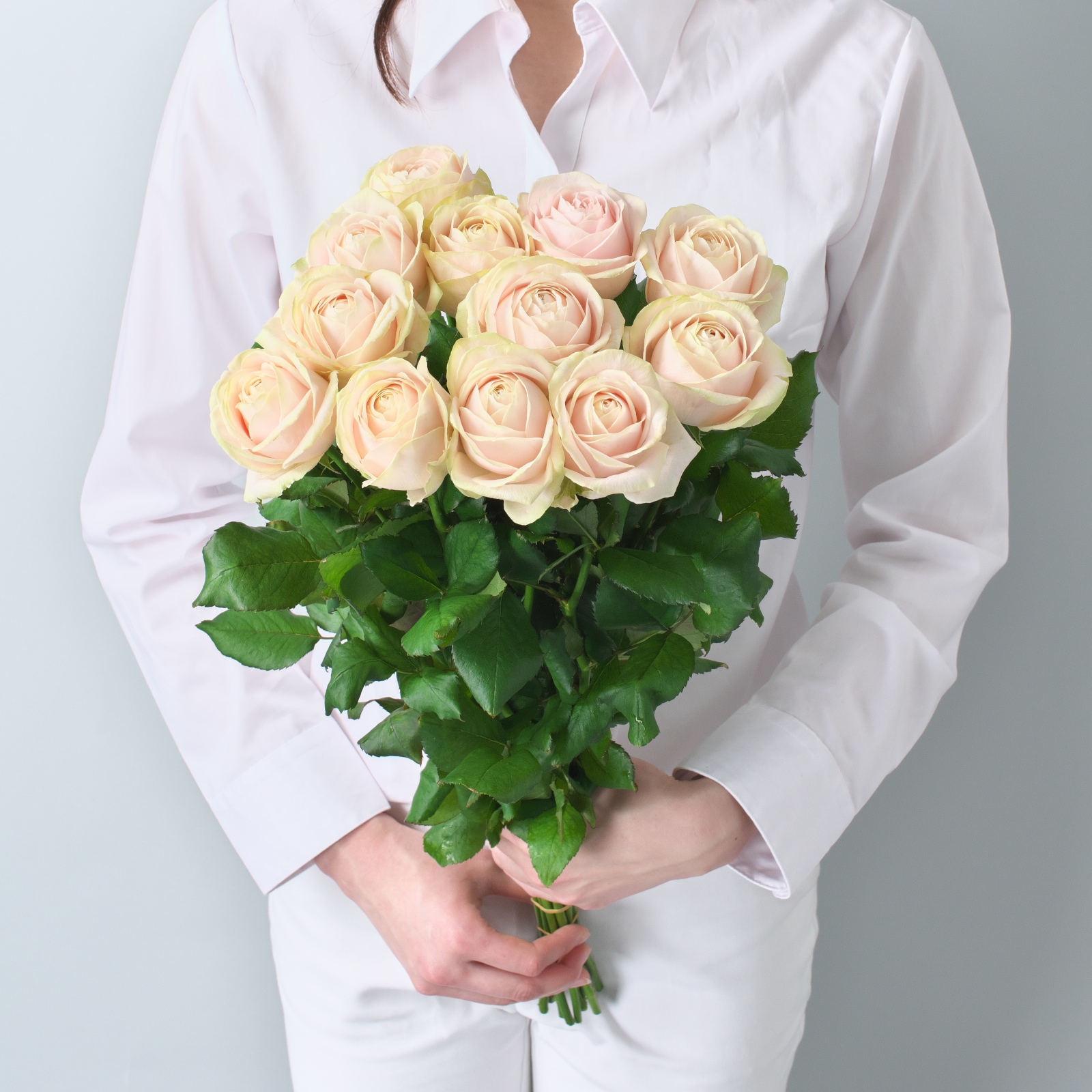 黄色いバラの花1840 紙にトイレ