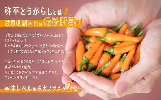 ビリヤニとは？インド発祥、スパイス香る炊き込みご飯の魅力と歴史を徹底解説シェフレピマガジン