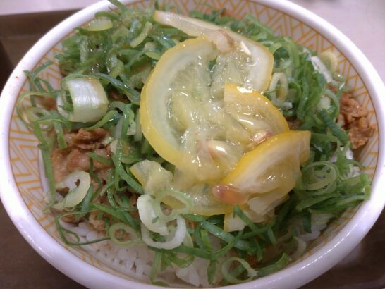 すき家 北名古屋沖村店 北名古屋市 ：期間限定メニュー『ねぎ塩レモン牛丼』、580円岩倉市 付近 のB級グルメ