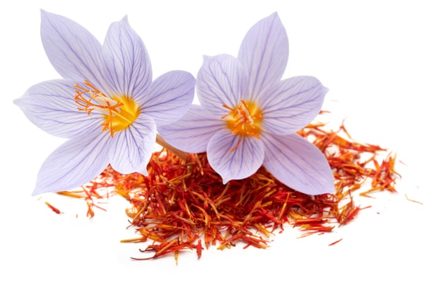 サフランSaffron1g 通販と販売 店 - マヤバザール