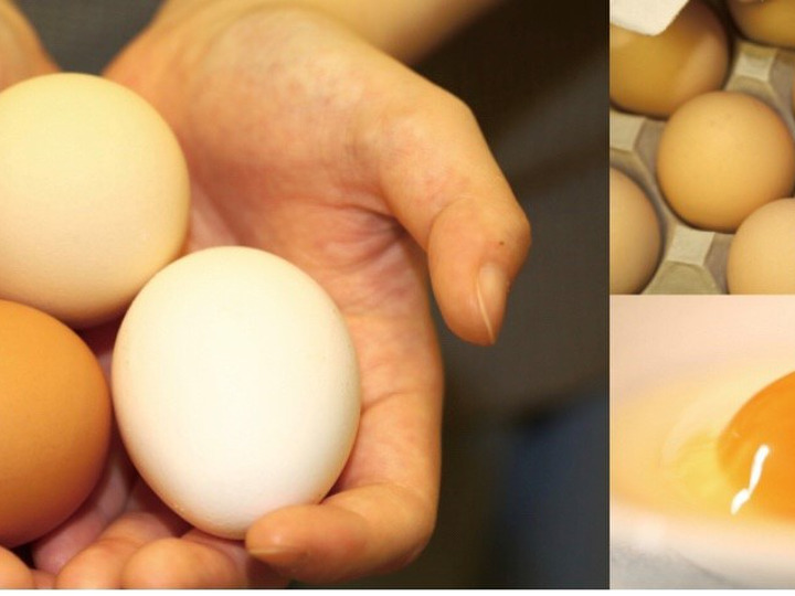 トップページ瀧田養鶏場たまごの樹