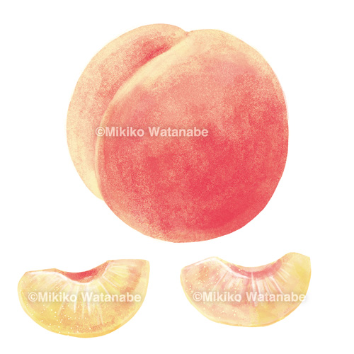 PIXTA色々な果物 14種類のイラスト素材17468724