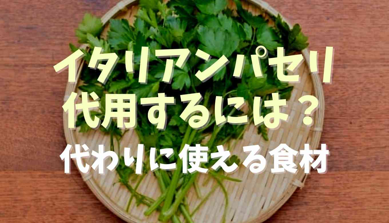 パセリとバジルの違いを完全ガイド栄養や育て方と活用法も紹介 - PLANT LOUNGE ～ 観葉植物の部屋