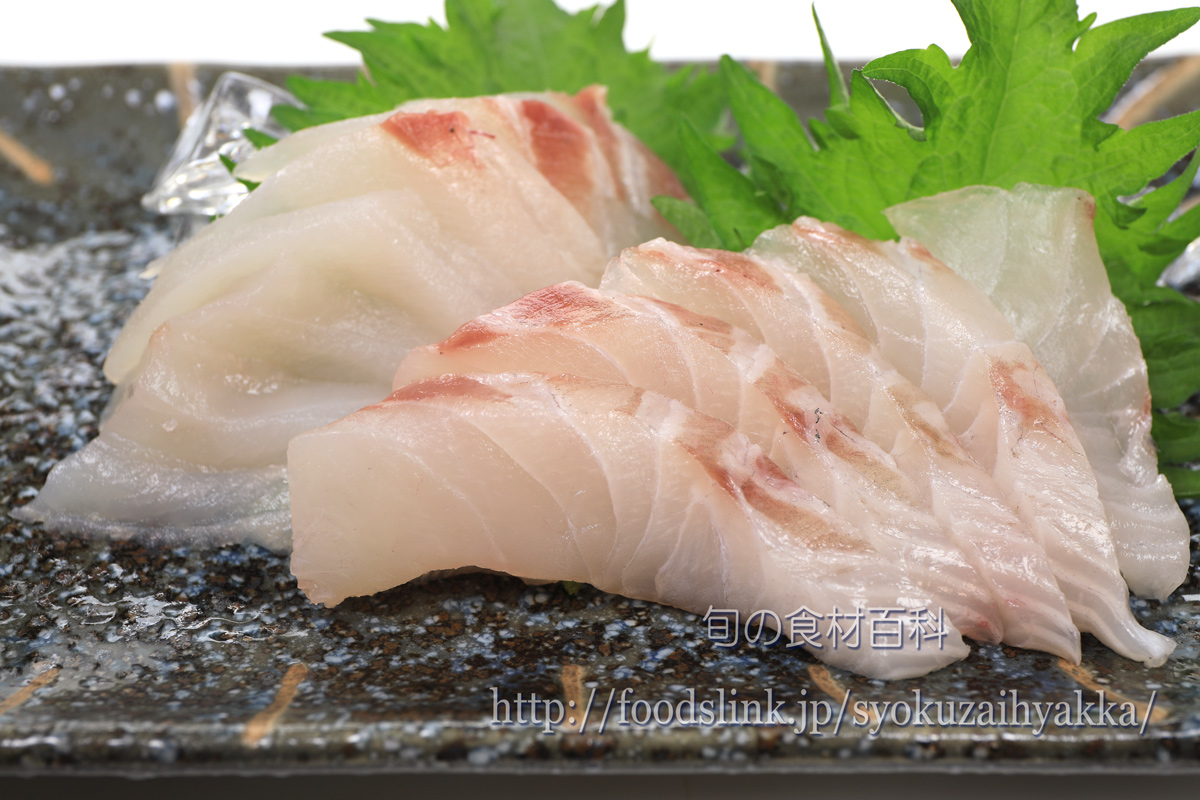 たるめ鯛 目鯛 の握り寿司 - 魚料理と簡単レシピ