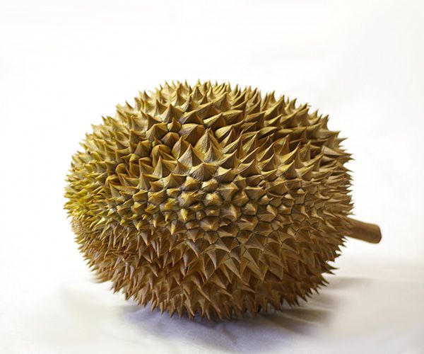 臭い果物の写真素材 - PIXTA