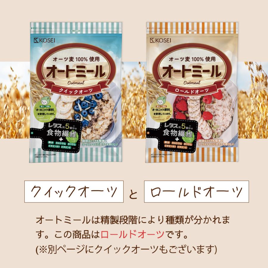 外は雪だし、美味しくオートミールを食べよう！秘書ちゃん