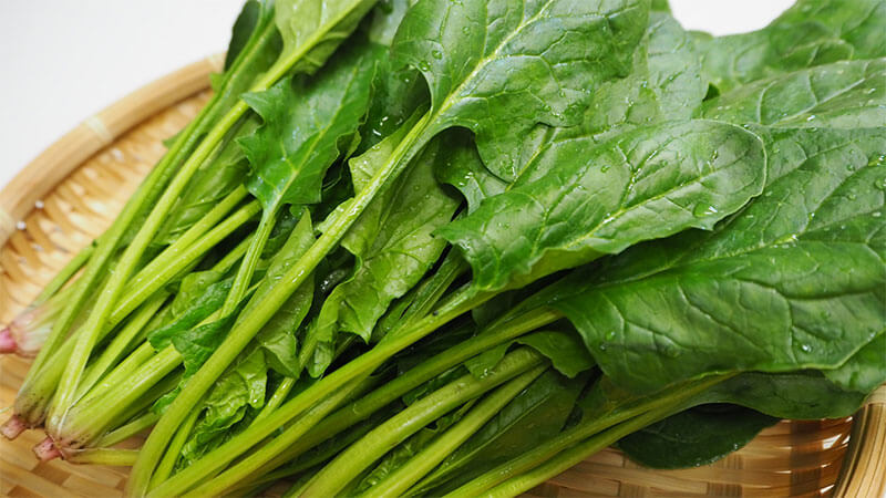 ほうれん草を上手に栽培する方法。栽培で起こる疑問トラブルも詳しく解説 - みんなのブログ体験農園なら貸し農園 市民農園 のシェア畑