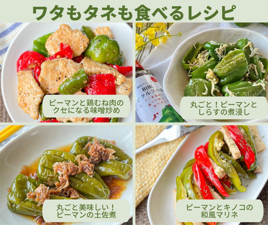 ピーマンの煮びたし