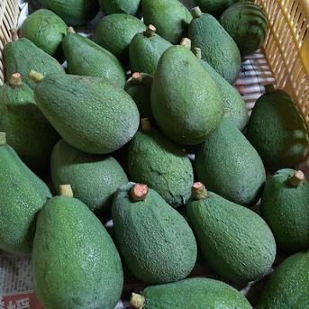 アボカドとトマトのスープ野菜 - レシピナビ