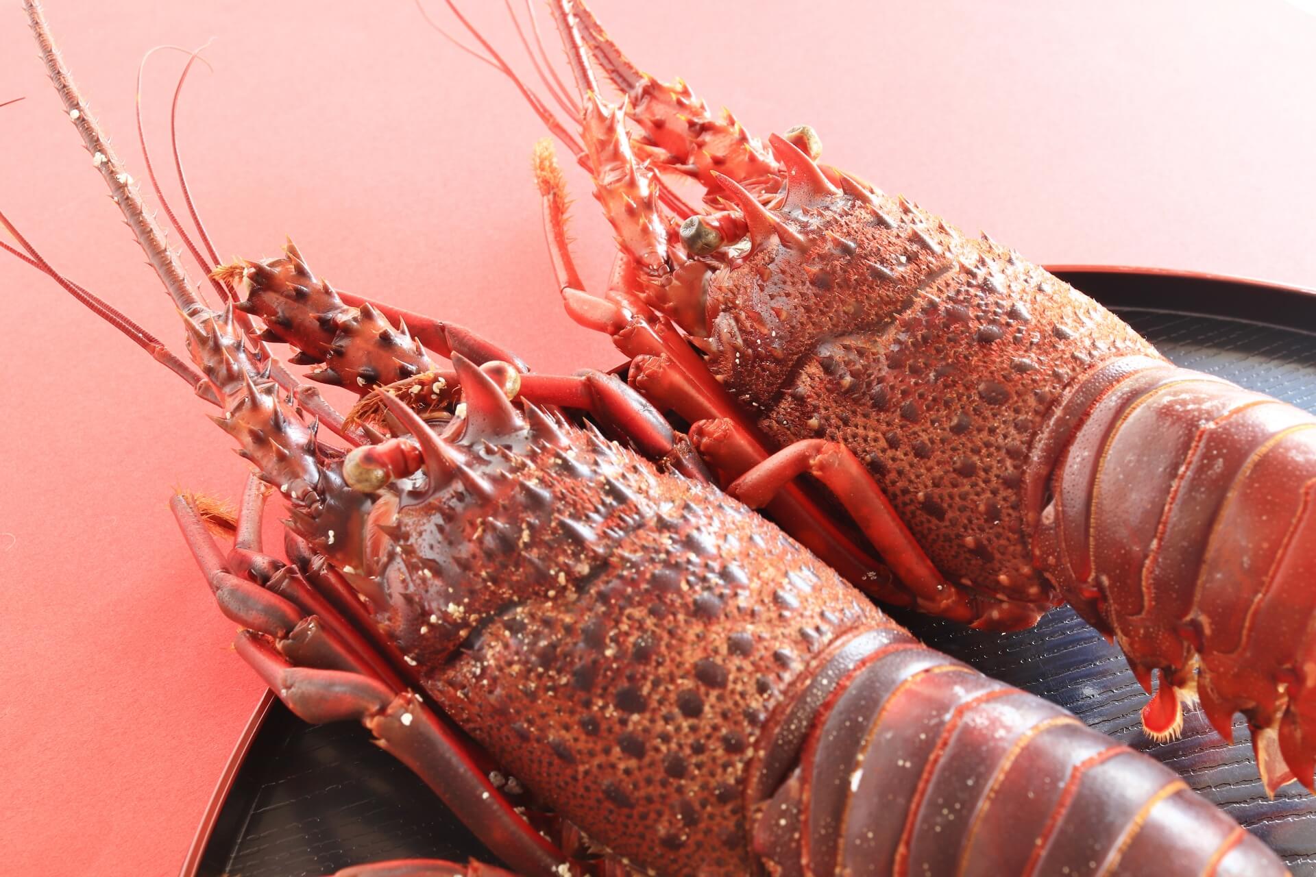 伊勢海老で縁起のよいお正月に🎍 - 鳥羽1番街鳥羽1番街