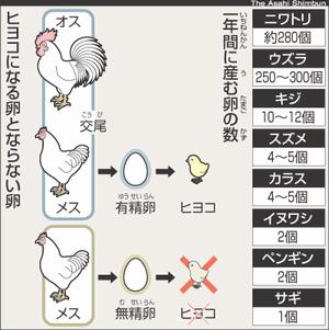日本一のブランド卵革命”で「安くて当たり前」を打破 株式会社半澤鶏卵 山形県天童市 半澤清哉氏新規事業にチャレンジする後継者J-Net21 中小企業ビジネス支援サイト