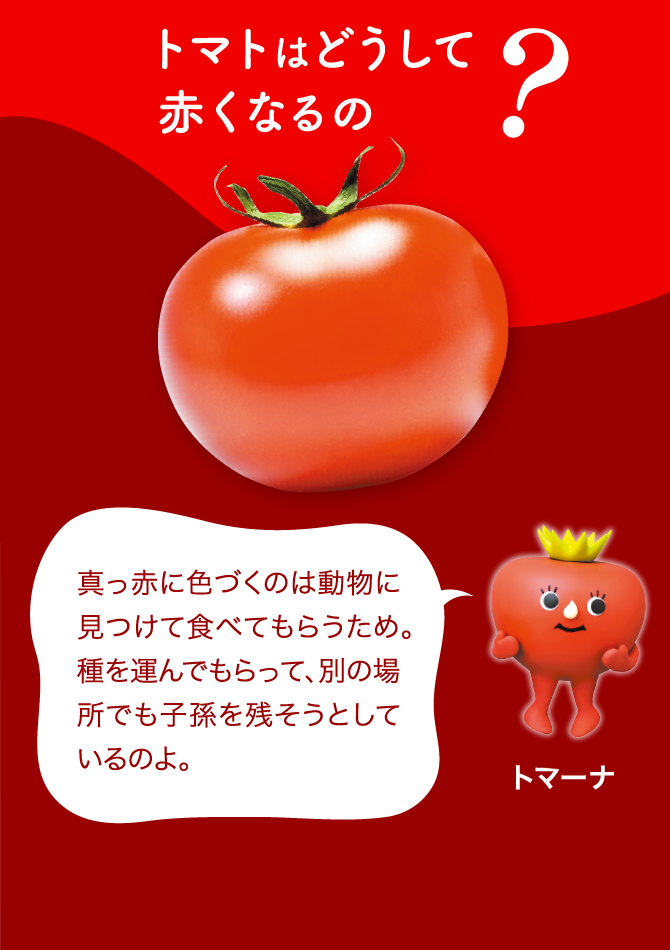 夏なのに、雪だるまができました☺️🎶 他のヤツと少し違うこういうトマト、なんかとても愛おしく思ってしまいます😃✨良いんだよ、キミはこういう形で、良いんだよ🙆 日差しも強くなってきたので、自販機に日除けを付けました🌞野菜自販機おもしろトマト雪だるま