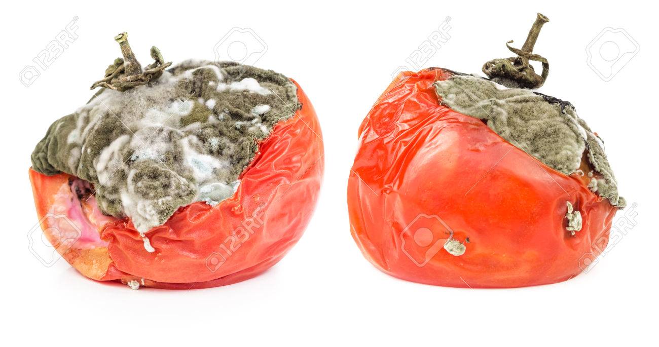 腐ったトマト写真素材、ロイヤリティフリー腐ったトマト画像DepositPhotos