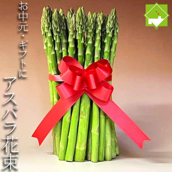 楽天市場 アスパラ 花束・切花花・観葉植物 ：花・ガーデン・DIYの通販