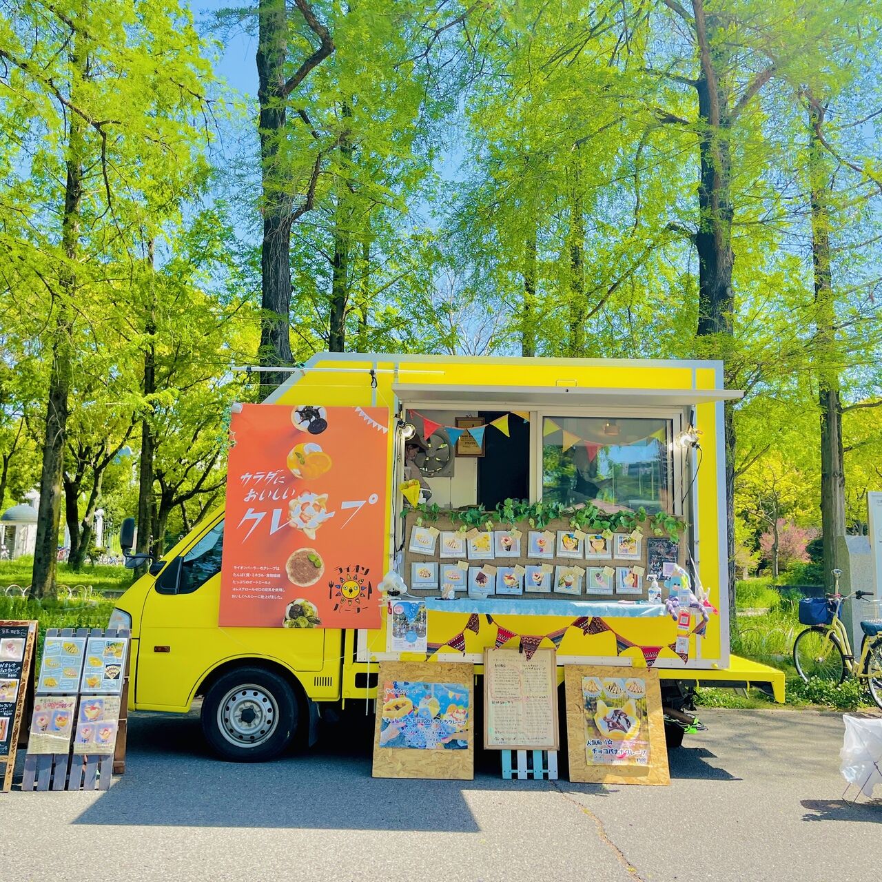 ライオン「クレイ ♀ 」の一般公開を開始します。愛媛県立とべ動物園のニュースまいぷれ 松山・伊予・東温・松前・砥部