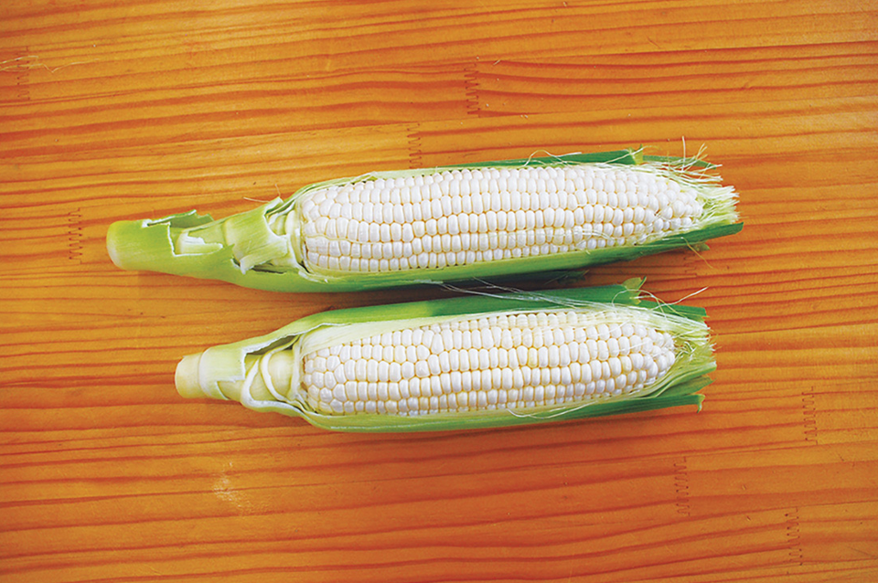 恵味ゴールド&白いとうもろこし 各5本、計10本吉粋 きっすい北海道から全国へ
