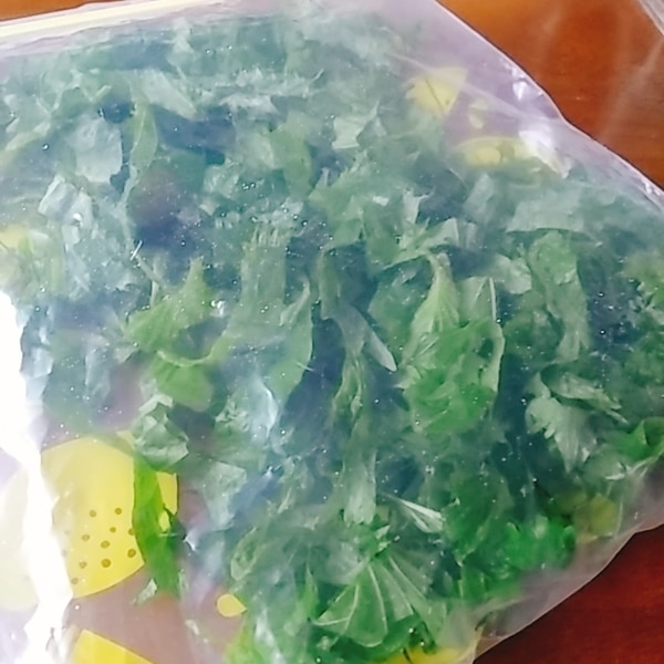 大葉保存！冷凍＆冷蔵の長期保存法と、しなびた時の復活法が便利カゴメ株式会社