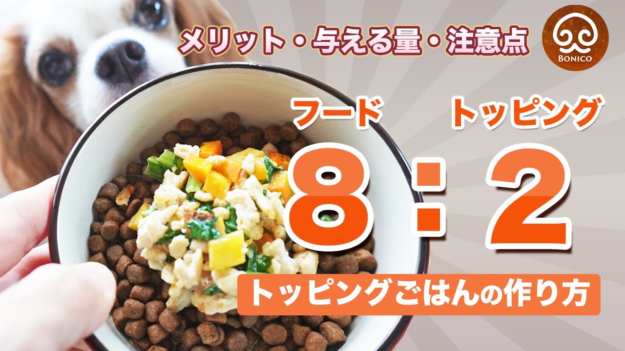犬用 生肉 ドッグフード トッピング 手作り食材料 国産 地鶏 砂肝 とさか MIX ミンチ 小分けトレー 250ｇ入り 兵庫県産 ダイエット低カロリー 帝塚山 WANBANA 6480円以上 送料無料□トッピング材料 お肉・お魚・野菜・スープ・ふりかけ ,□生肉・ボイル肉・お魚
