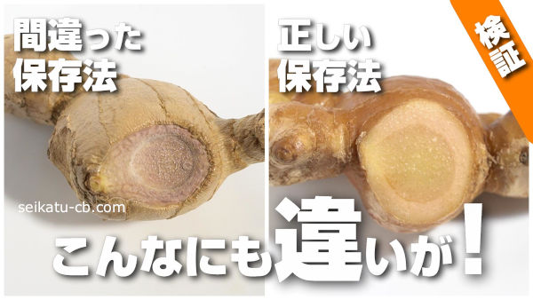 有機栽培のプロが教える！生姜の収穫＆保存のポイント 長期保存・収穫のタイミング・茎切り・根切り