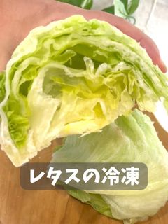 正しいレタスの保存方法とは？レタスをシャキシャキに保つための保存のポイントを解説！ - ハイアール LIFE STYLE