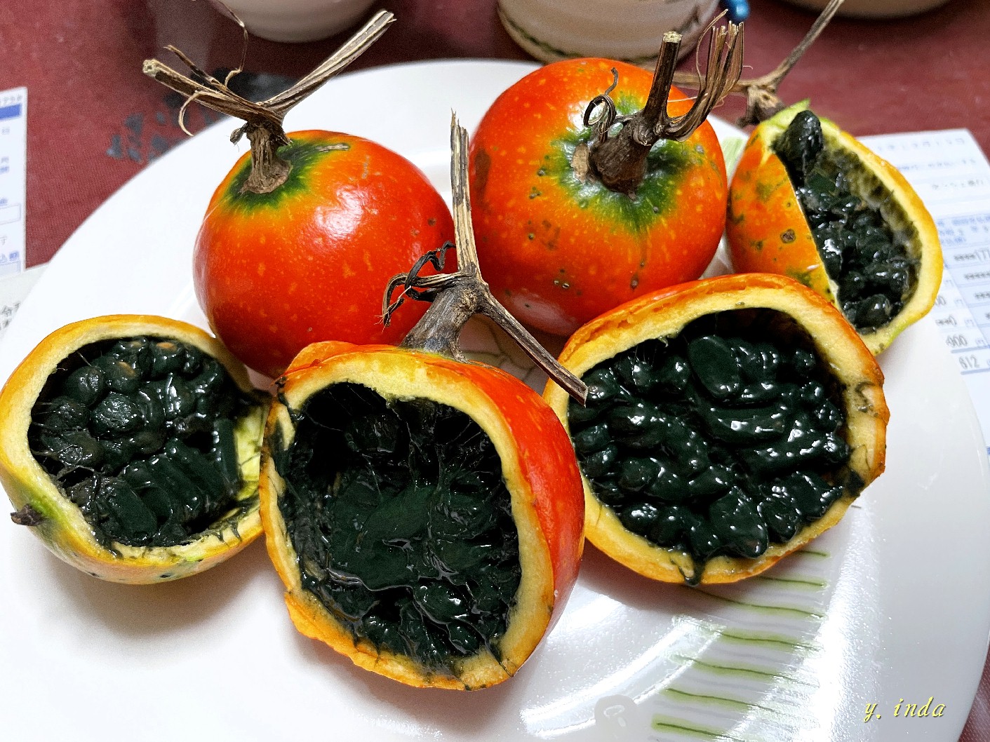 カラスウリ からすうり 烏瓜 - 庭木図鑑 植木ペディア