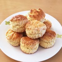 あるとないとじゃ大違い!?「アーモンドプードル」を使ったお菓子のレシピ 5ページ目キナリノ