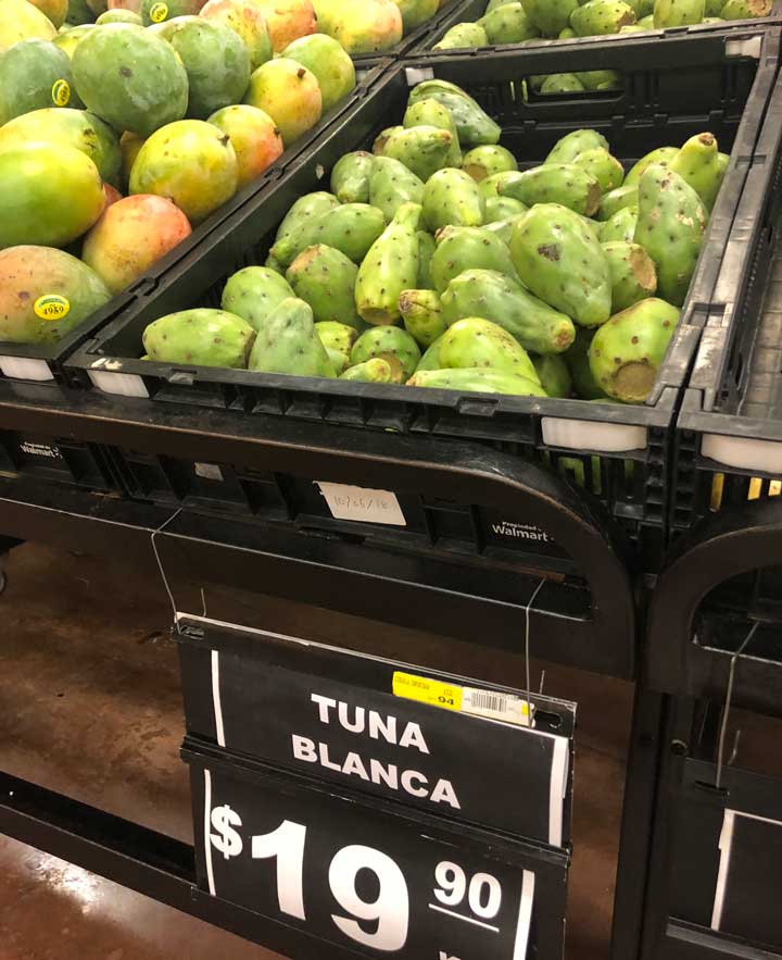 ウチワ サボテンの果実の写真素材・画像素材 Image 10255313