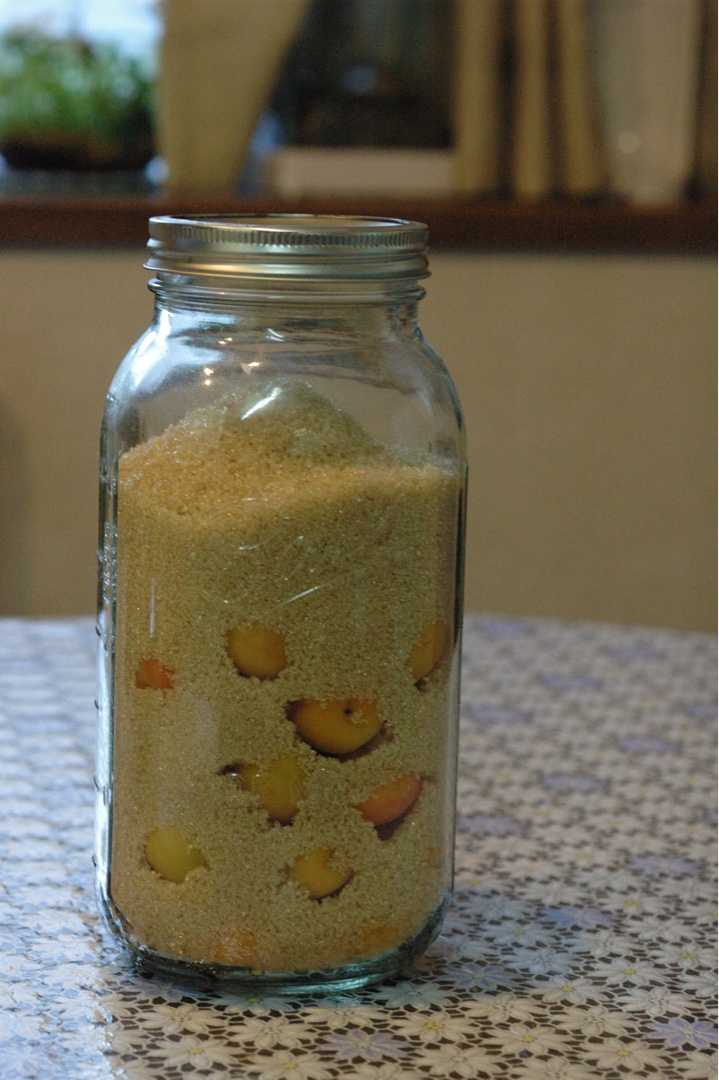 梅仕事第2弾は栗原さんの甘い梅干しpapuchi home - 楽天ブログ