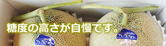 食の都庄内シリーズ 庄内砂丘メロンがあなたに届くまで旅の特集やまがた庄内観光サイト - 山形県庄内エリアの観光・旅行情報