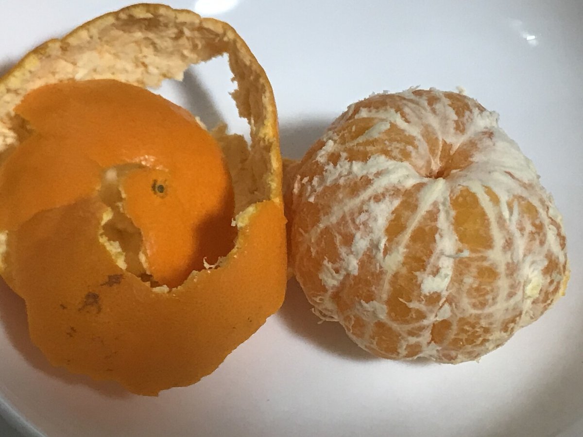 皮をむくのが楽しくなる♪みかんのおもしろいむき方4選mamatas ママタス