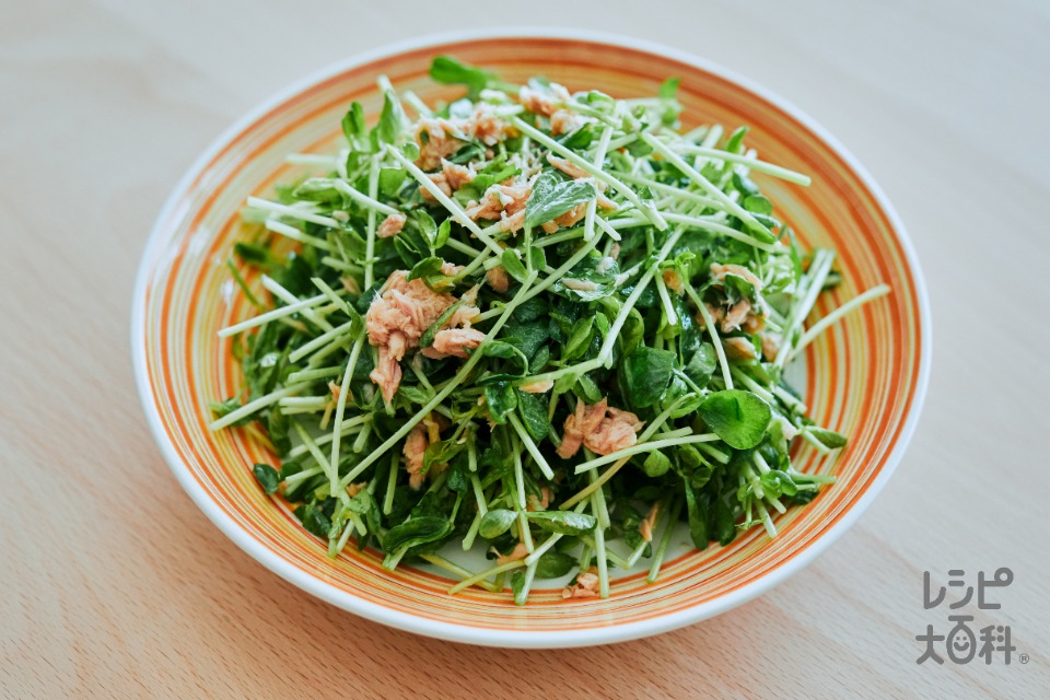 レシピはここ👇, このレシピ作ってみてね☺️💕, 👇他の時短レシピ, @mai.10gohan,豆苗サラダ ,—————————————————,材料 , ○豆苗一袋, ○人参半分, ○ツナ缶1缶, ☆ごま油大さじ2, ☆ポン酢大さじ2,□いりごまお好みで,作り方 , ①豆苗を洗い、食べやすい大きさに切る, ②人参の皮を剥き、スライサーで細切りにする,