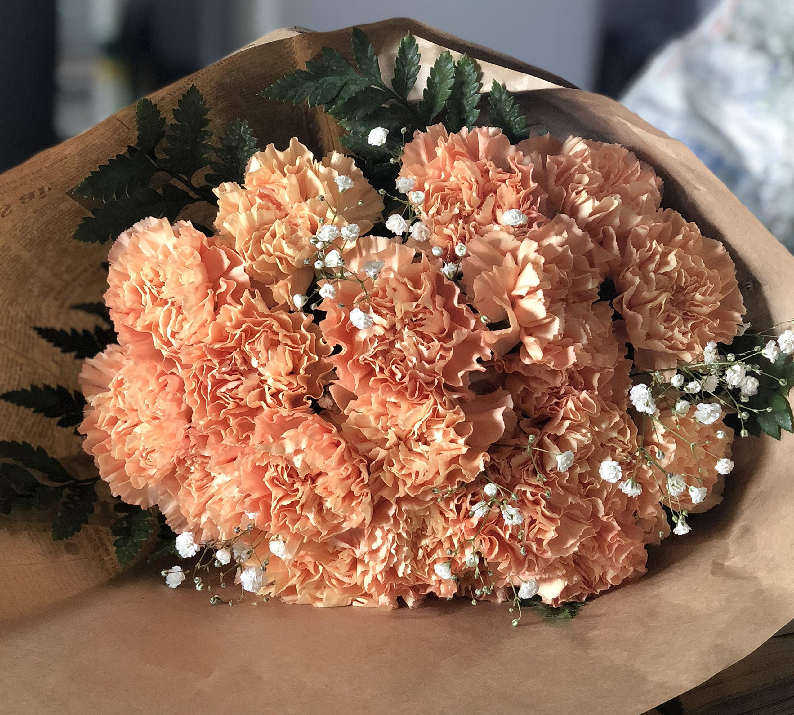 楽天市場生花 カーネーション ピーチ系コロンビア産 アップルティー、リジーなど OR-895本: 花材通販はなどんやアソシエ