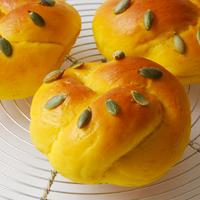 ホームベーカリー「おうちベーカリー ベーシック」 SB-1D251シロカオンラインストア