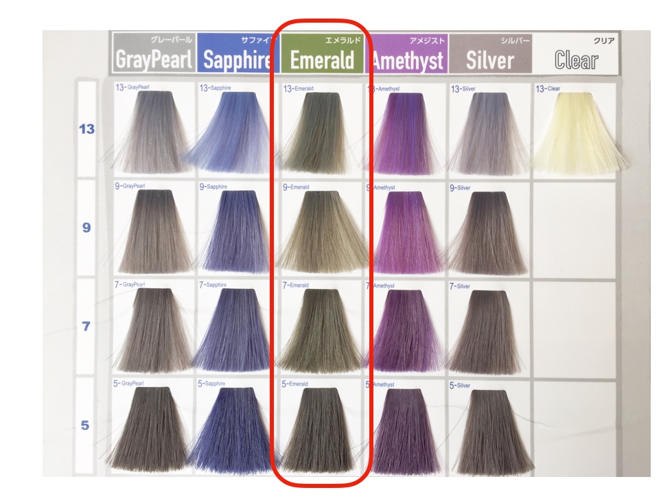 レシピ公開』アディクシーでネイビーアッシュ✴︎shu カラーレシピ