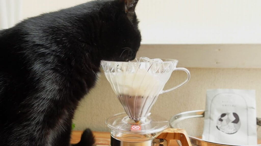 一期一会の味わいを！ 氷出しコーヒーの作り方と魅力をコーヒー好きが解説│でざかふぇブログ