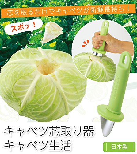 キャベツの下ごしらえ・切り方食材別の下ごしらえ・切り方 料理の基本・初心者向け情報レシピ大百科 レシピ・料理味の素パーク たべる楽しさを、もっと