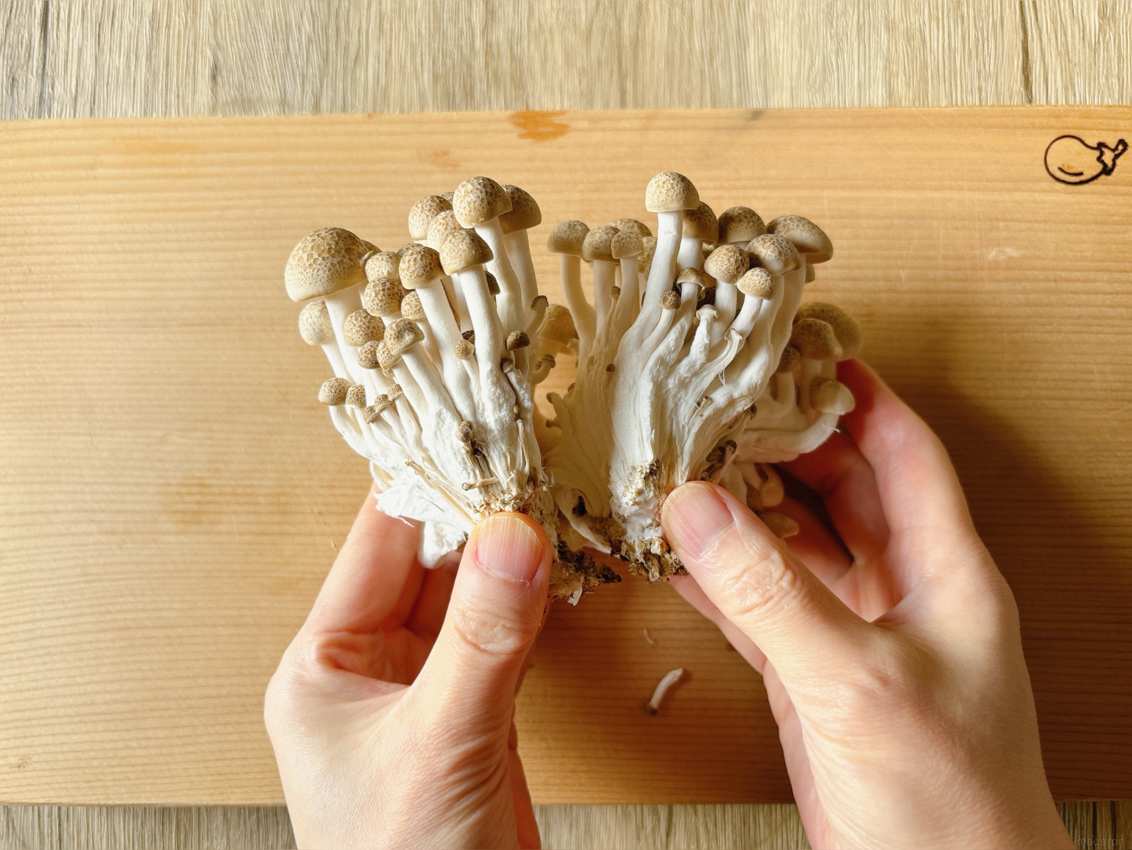 しめじ」は洗う？洗わない？どっちが正解？元スーパーの店員が解説！ ぱるとよ- エキスパート - Yahoo!ニュース