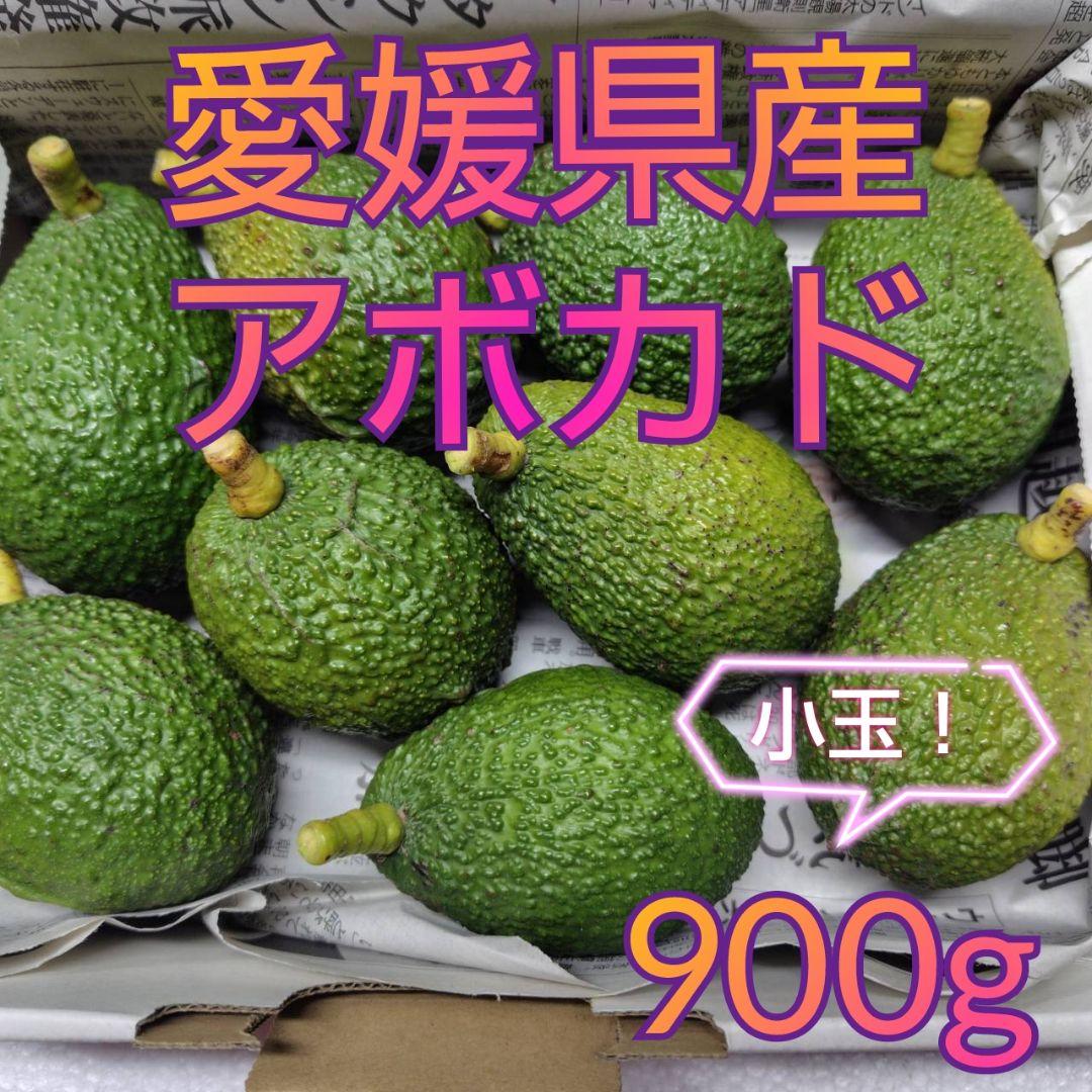 オンラインショップ 愛媛県産アボカド 伊予柑・甘平なら愛媛の Tファーム