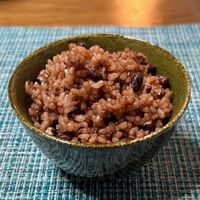 発芽酵素玄米ごはん 寝かせ発芽玄米ごはんなでしこ健康生活炊飯器レシピ