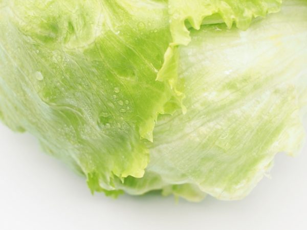 野菜ソムリエが解説！レタスの基本の洗い方から保存方法・手抜きテクまで - macaroni