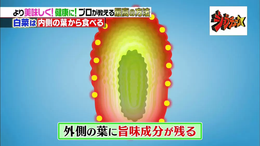 白菜の黒い点はなぜできる？！正体はポリフェノールで食べても大丈夫！ - E・レシピ 1 1ページ