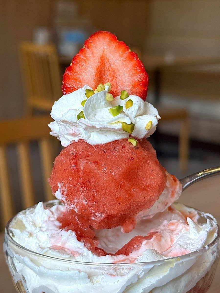 デニーズの春メニューがたまらん ♡7日から発売開始！期間限定なのが惜しい！新作を試食レポ♪michill byGMO ミチル