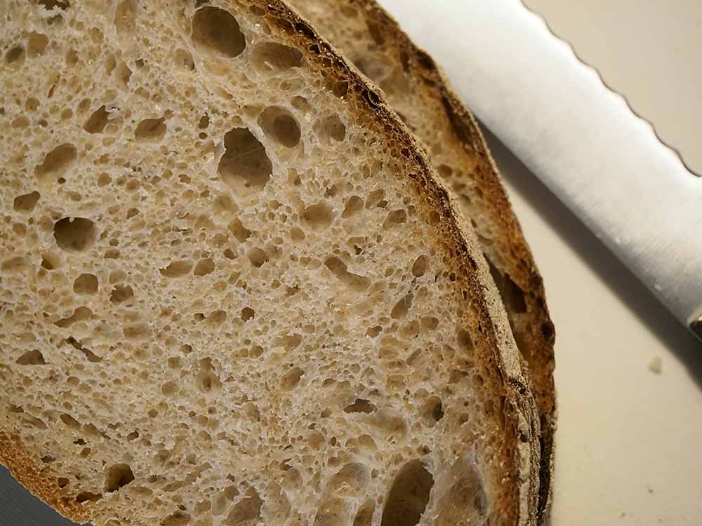 ジャムに白カビが生えてショック～ジャムを冷凍保存できることを知った。これでカビ知らず 冷凍・解凍方法解説健康探究ブログ