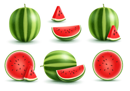 楽天市場 入善ジャンボ西瓜通販 富山県黒部俵スイカを販売。日本一の大きさをお中元に 1玉 約14ｋｇ〜約19ｋｇ : 果物百貨店 浜中屋