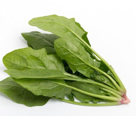 葉物野菜を売りたいfarmO