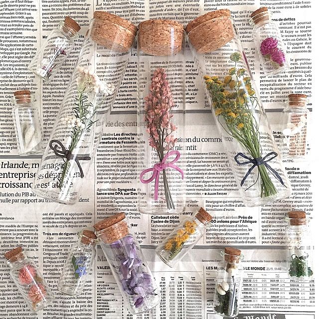 新鮮！ 100均のボトルで、ドライフラワーのインテリア プチプラ花コーデ Vol.75GardenStoryガーデンストーリー