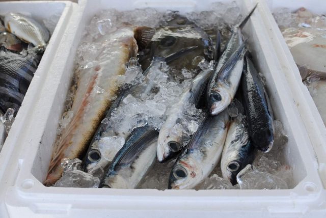 淡白な美味しさ☆「トビウオの塩焼き」