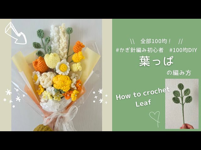 丸くて大きな葉が特徴の黄色い秋の花 －ツワブキ 石蕗 －この花の名前なんていうの